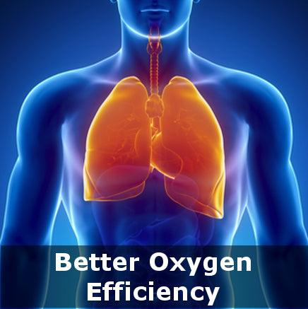 Workout Mask VOL. 3 - Vikingstrength Norge